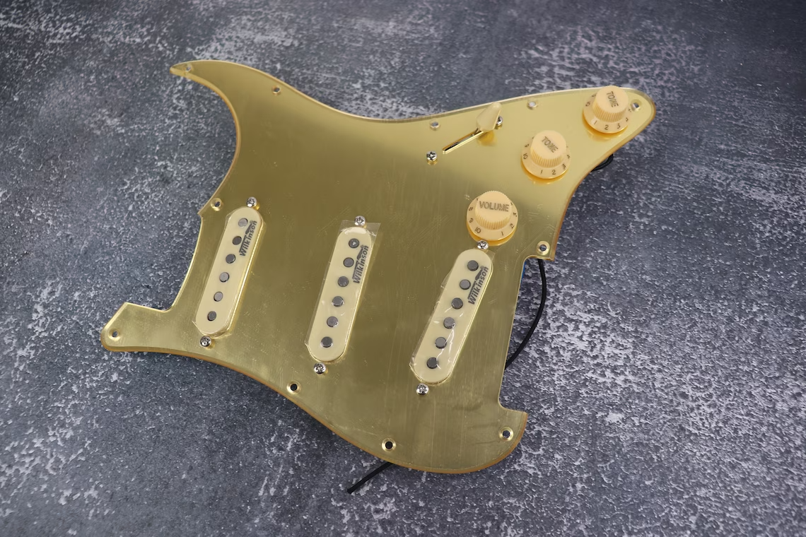 Type Guitar, Electric Guitar Accessory