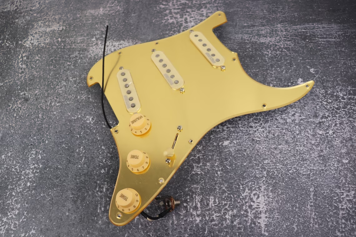 Type Guitar, Electric Guitar Accessory