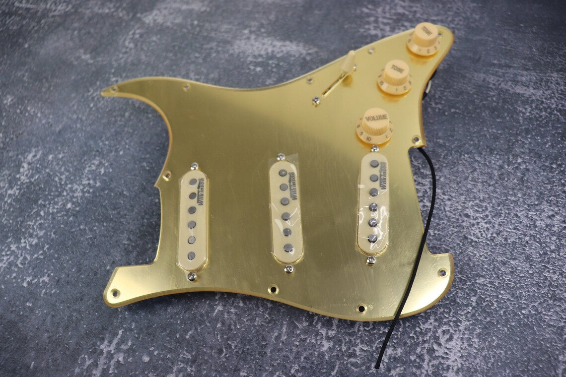 Type Guitar, Electric Guitar Accessory