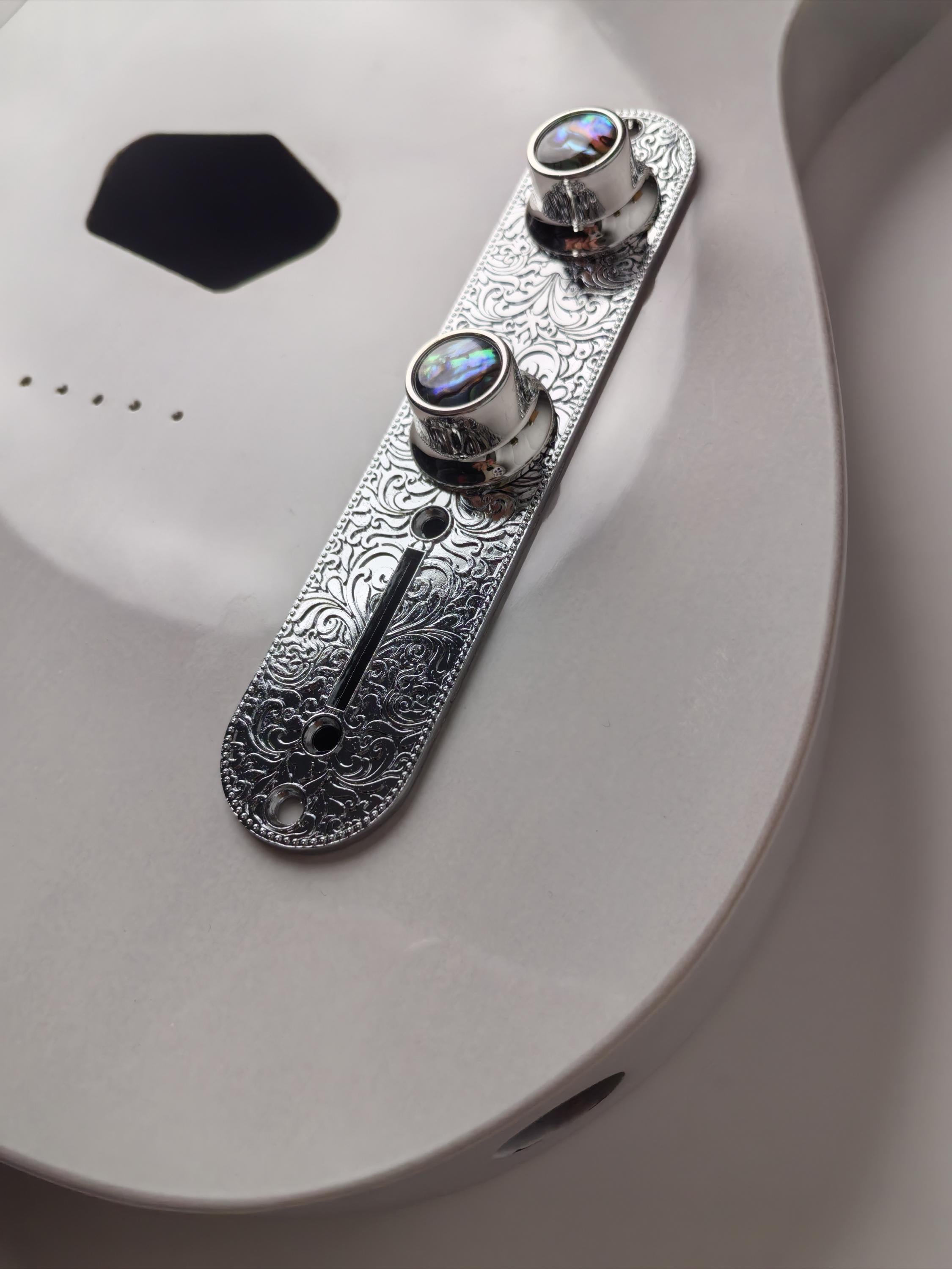 Tl Plate with Knobs Silver , Electric Guitar And Bass, Rare Custom Shop Accessory, Vintage Build Kit,