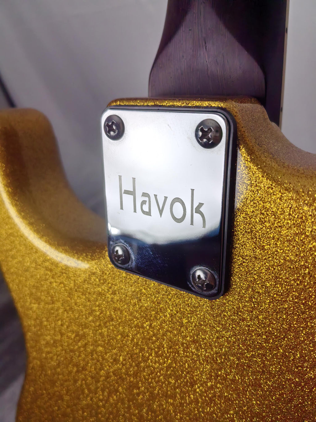 Havok Electric Guitar St Shape Hard Case Stainless Steel Frets High Quality
