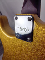 Havok Electric Guitar St Shape Hard Case Stainless Steel Frets High Quality