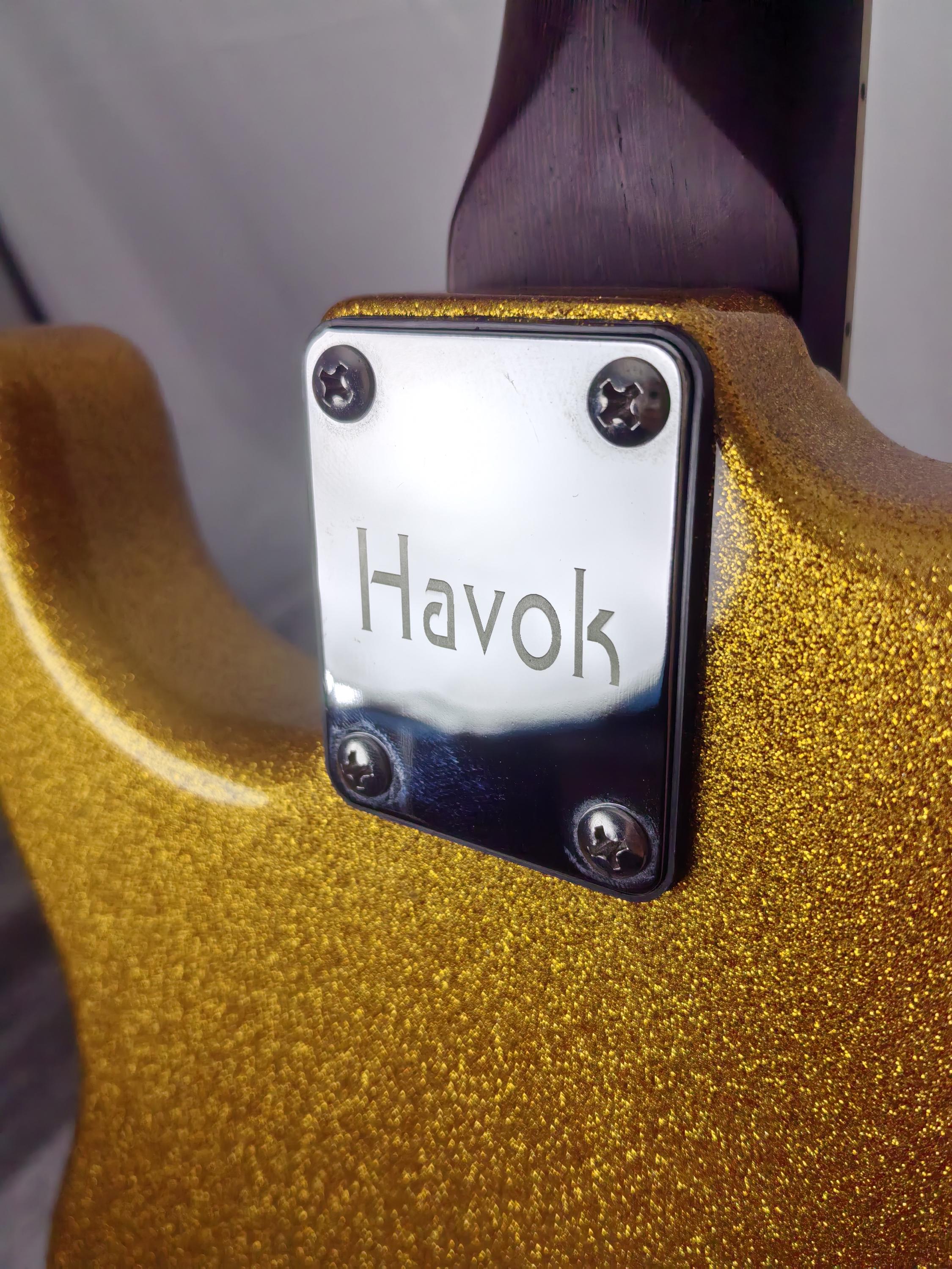 Havok Electric Guitar St Shape Hard Case Stainless Steel Frets High Quality