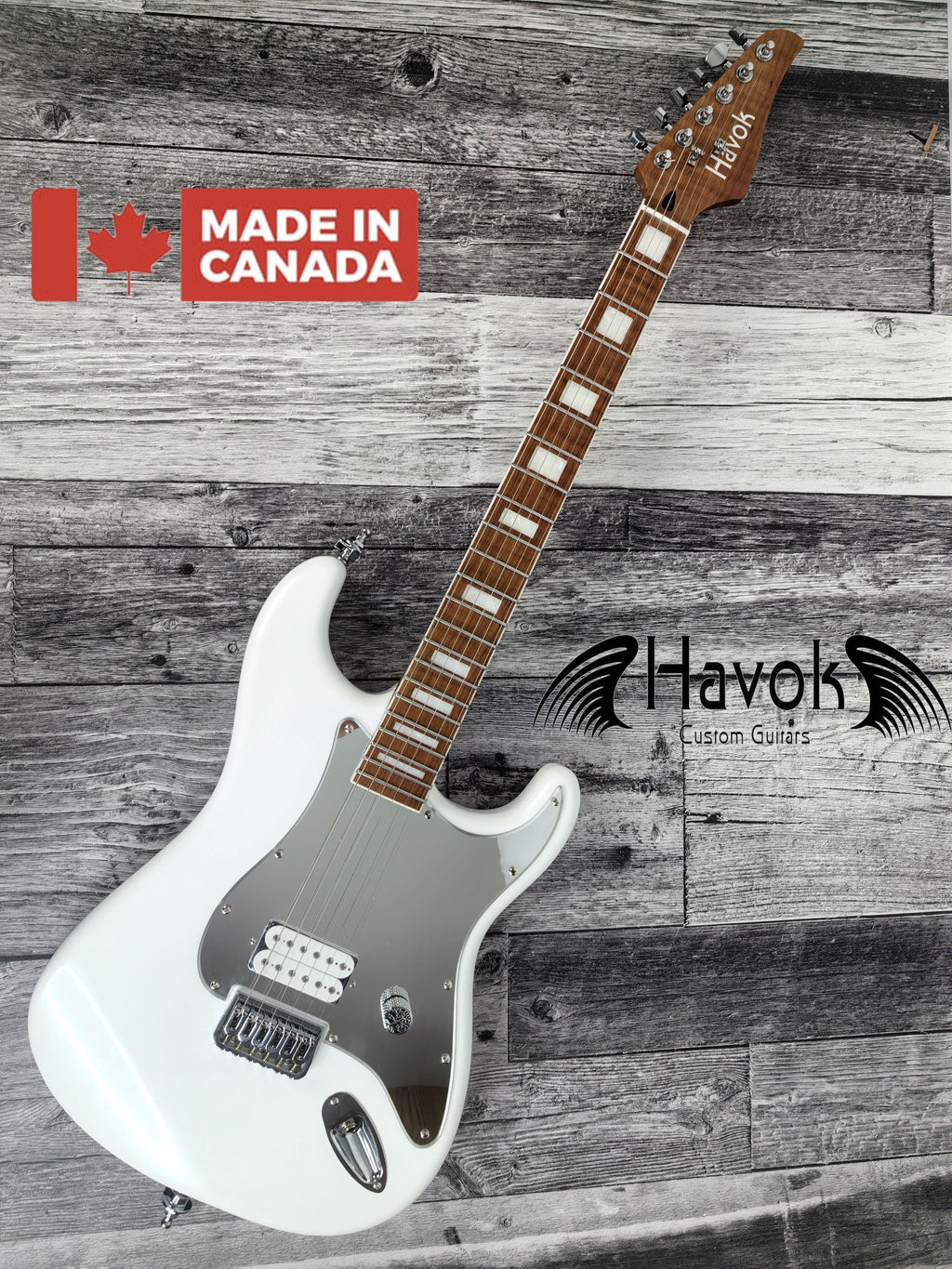 Havok Electric Guitar St Shape Hard Case Stainless Steel Frets High Quality